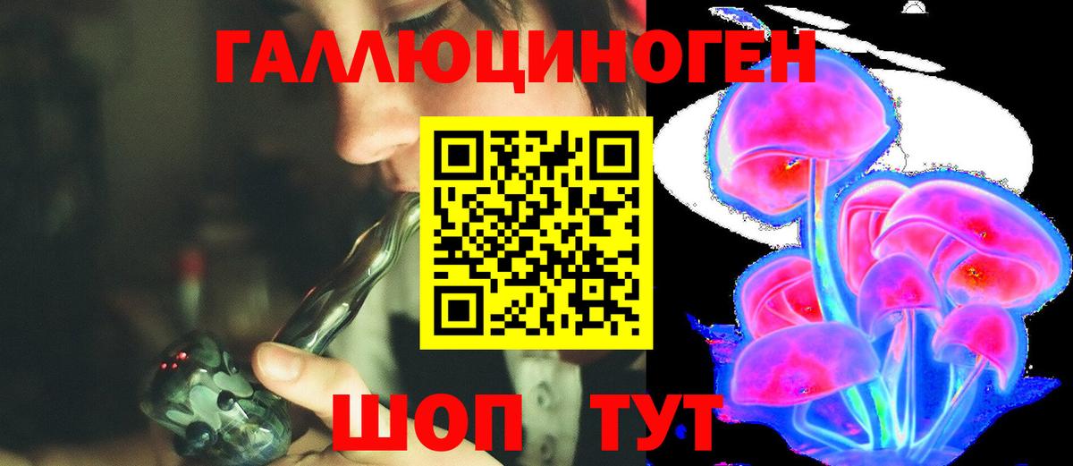 Псилоцибиновые грибы GOLDEN TEACHER Пушкино